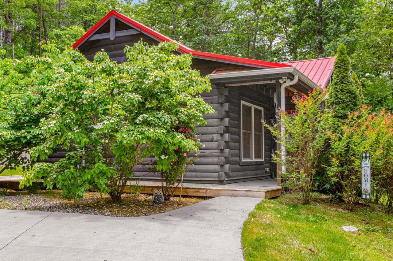 Wild Rose Cabin Lake Lure Esterno foto